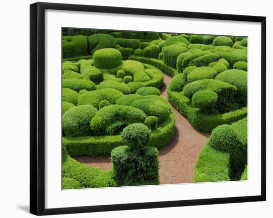 Topiary Garden at Chateau de Marqueyssac-David Burton-Framed Photographic Print