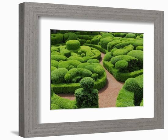 Topiary Garden at Chateau de Marqueyssac-David Burton-Framed Photographic Print