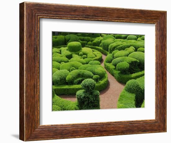 Topiary Garden at Chateau de Marqueyssac-David Burton-Framed Photographic Print