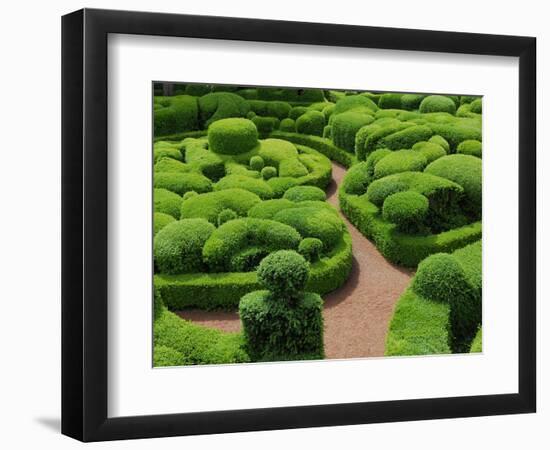 Topiary Garden at Chateau de Marqueyssac-David Burton-Framed Photographic Print