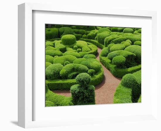 Topiary Garden at Chateau de Marqueyssac-David Burton-Framed Photographic Print