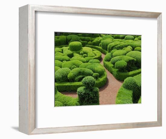 Topiary Garden at Chateau de Marqueyssac-David Burton-Framed Photographic Print