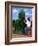 Topiary Kiss-Larry Smart-Framed Giclee Print