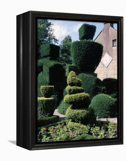 Topiary, Levens Hall, Cumbria, England, United Kingdom-Adam Woolfitt-Framed Premier Image Canvas