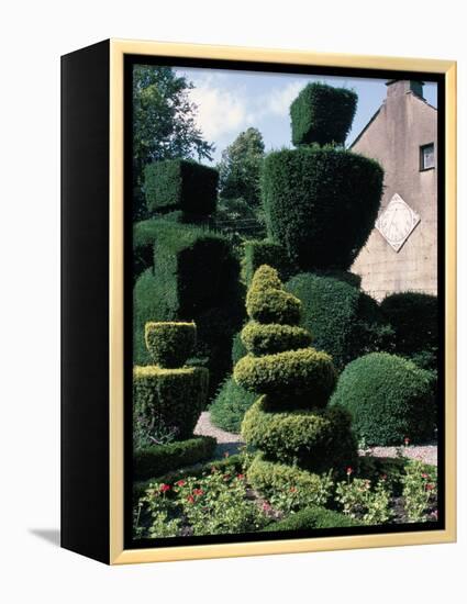 Topiary, Levens Hall, Cumbria, England, United Kingdom-Adam Woolfitt-Framed Premier Image Canvas