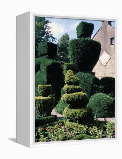 Topiary, Levens Hall, Cumbria, England, United Kingdom-Adam Woolfitt-Framed Premier Image Canvas