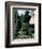 Topiary, Levens Hall, Cumbria, England, United Kingdom-Adam Woolfitt-Framed Photographic Print