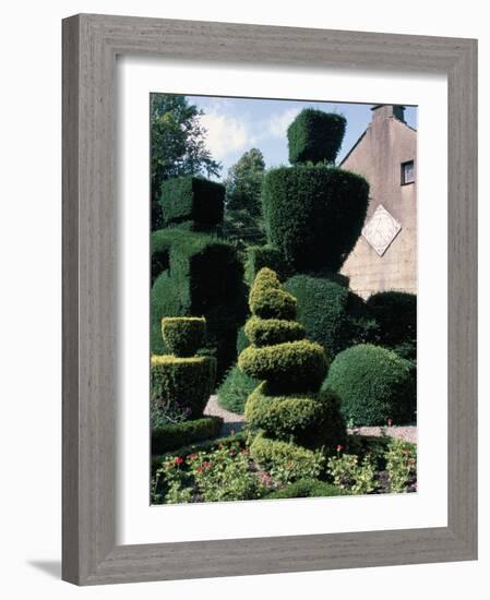 Topiary, Levens Hall, Cumbria, England, United Kingdom-Adam Woolfitt-Framed Photographic Print