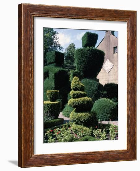 Topiary, Levens Hall, Cumbria, England, United Kingdom-Adam Woolfitt-Framed Photographic Print