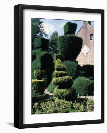 Topiary, Levens Hall, Cumbria, England, United Kingdom-Adam Woolfitt-Framed Photographic Print