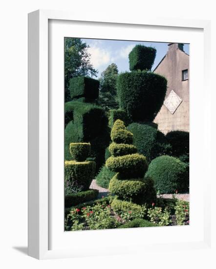 Topiary, Levens Hall, Cumbria, England, United Kingdom-Adam Woolfitt-Framed Photographic Print