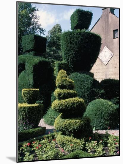 Topiary, Levens Hall, Cumbria, England, United Kingdom-Adam Woolfitt-Mounted Photographic Print