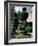 Topiary, Levens Hall, Cumbria, England, United Kingdom-Adam Woolfitt-Framed Photographic Print