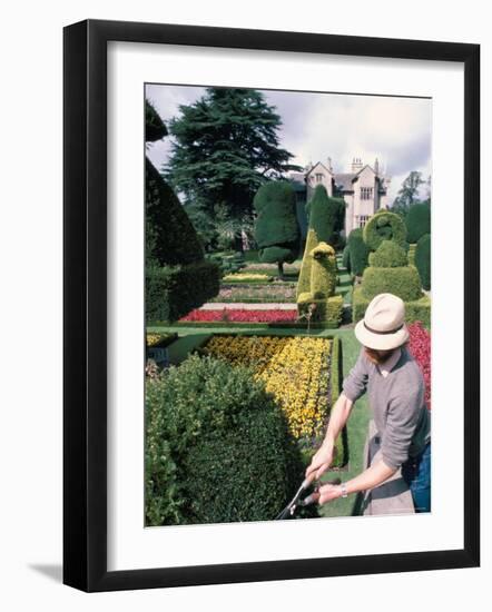 Topiary, Levens Hall, Cumbria, England, United Kingdom-Adam Woolfitt-Framed Photographic Print