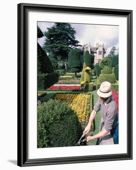 Topiary, Levens Hall, Cumbria, England, United Kingdom-Adam Woolfitt-Framed Photographic Print