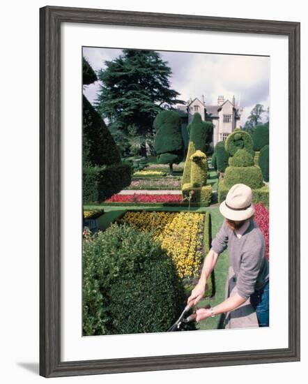 Topiary, Levens Hall, Cumbria, England, United Kingdom-Adam Woolfitt-Framed Photographic Print