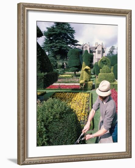 Topiary, Levens Hall, Cumbria, England, United Kingdom-Adam Woolfitt-Framed Photographic Print