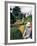 Topiary, Levens Hall, Cumbria, England, United Kingdom-Adam Woolfitt-Framed Photographic Print