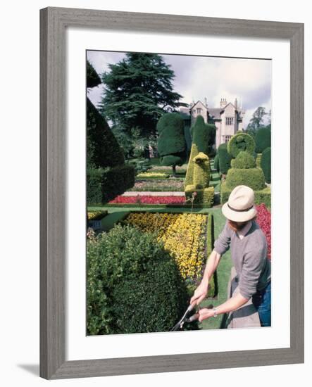 Topiary, Levens Hall, Cumbria, England, United Kingdom-Adam Woolfitt-Framed Photographic Print