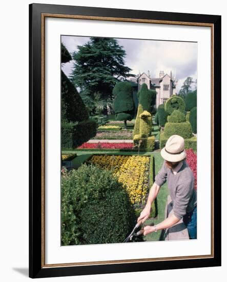 Topiary, Levens Hall, Cumbria, England, United Kingdom-Adam Woolfitt-Framed Photographic Print