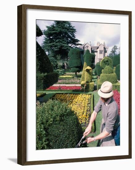 Topiary, Levens Hall, Cumbria, England, United Kingdom-Adam Woolfitt-Framed Photographic Print