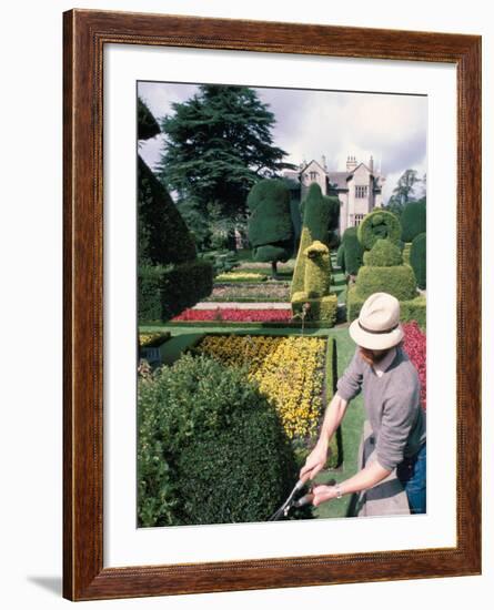 Topiary, Levens Hall, Cumbria, England, United Kingdom-Adam Woolfitt-Framed Photographic Print