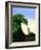 Topiary Wave-Larry Smart-Framed Giclee Print