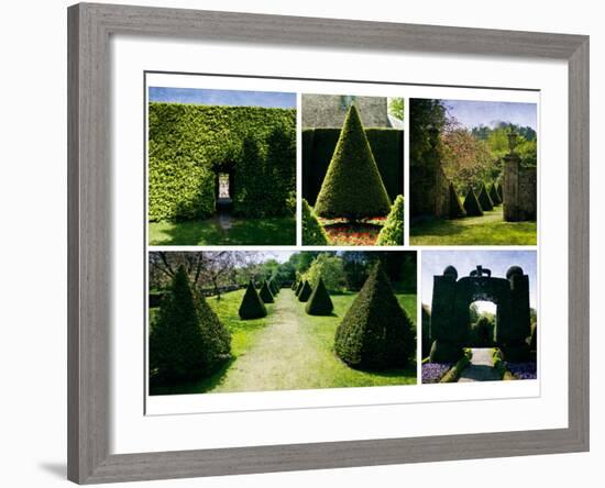 Topiary-Pete Kelly-Framed Giclee Print