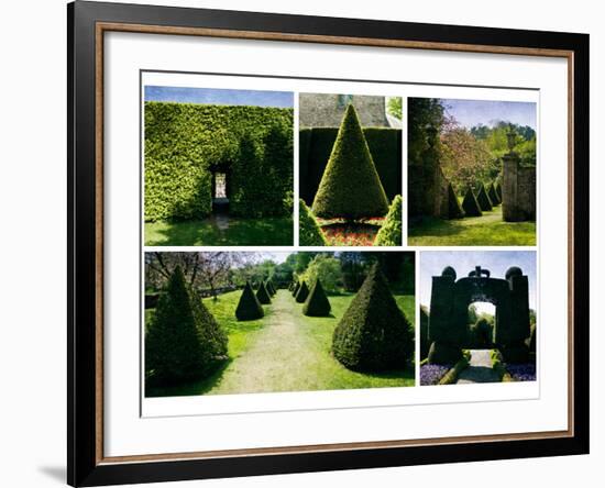 Topiary-Pete Kelly-Framed Giclee Print