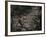 Topicworks-Fabio Panichi-Framed Photographic Print