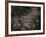 Topicworks-Fabio Panichi-Framed Photographic Print