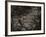 Topicworks-Fabio Panichi-Framed Photographic Print