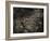 Topicworks-Fabio Panichi-Framed Photographic Print