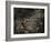 Topicworks-Fabio Panichi-Framed Photographic Print