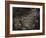 Topicworks-Fabio Panichi-Framed Photographic Print