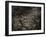 Topicworks-Fabio Panichi-Framed Photographic Print