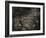 Topicworks-Fabio Panichi-Framed Photographic Print