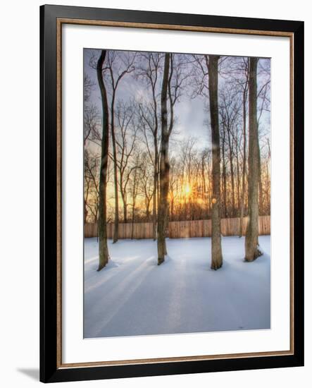 Topiczone-Jim Crotty-Framed Photographic Print