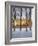 Topiczone-Jim Crotty-Framed Photographic Print