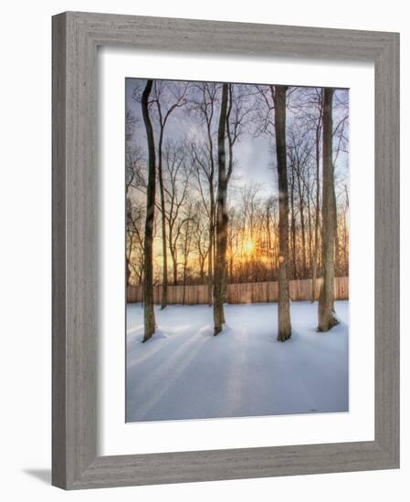 Topiczone-Jim Crotty-Framed Photographic Print