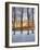 Topiczone-Jim Crotty-Framed Photographic Print