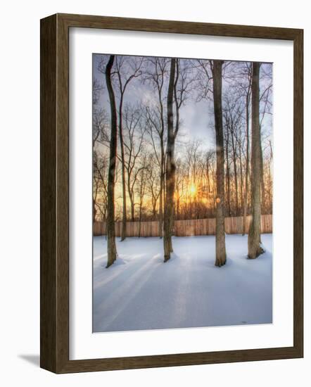 Topiczone-Jim Crotty-Framed Photographic Print