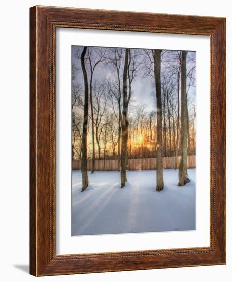 Topiczone-Jim Crotty-Framed Photographic Print