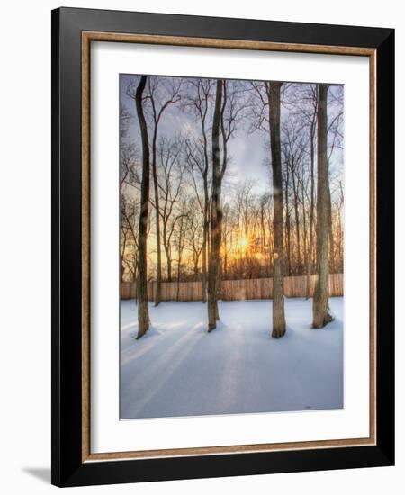 Topiczone-Jim Crotty-Framed Photographic Print