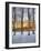 Topiczone-Jim Crotty-Framed Photographic Print