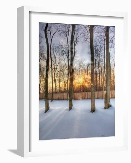 Topiczone-Jim Crotty-Framed Photographic Print