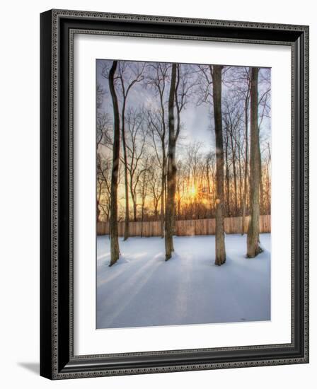 Topiczone-Jim Crotty-Framed Photographic Print