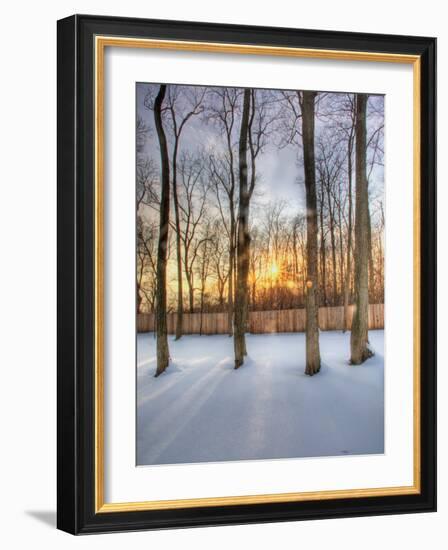 Topiczone-Jim Crotty-Framed Photographic Print