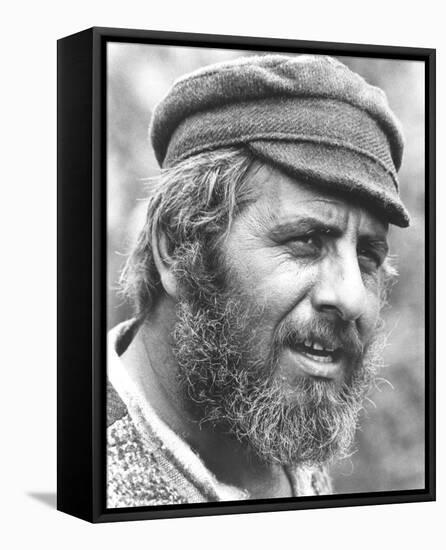 Topol - Fiddler on the Roof-null-Framed Stretched Canvas