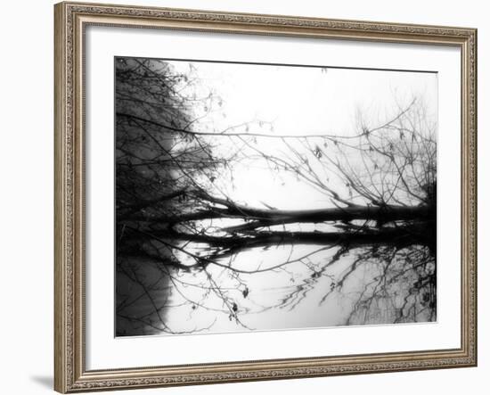 Toppoint-Sharon Wish-Framed Photographic Print